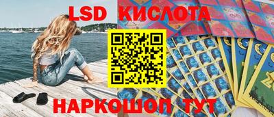 гидропоника Аша