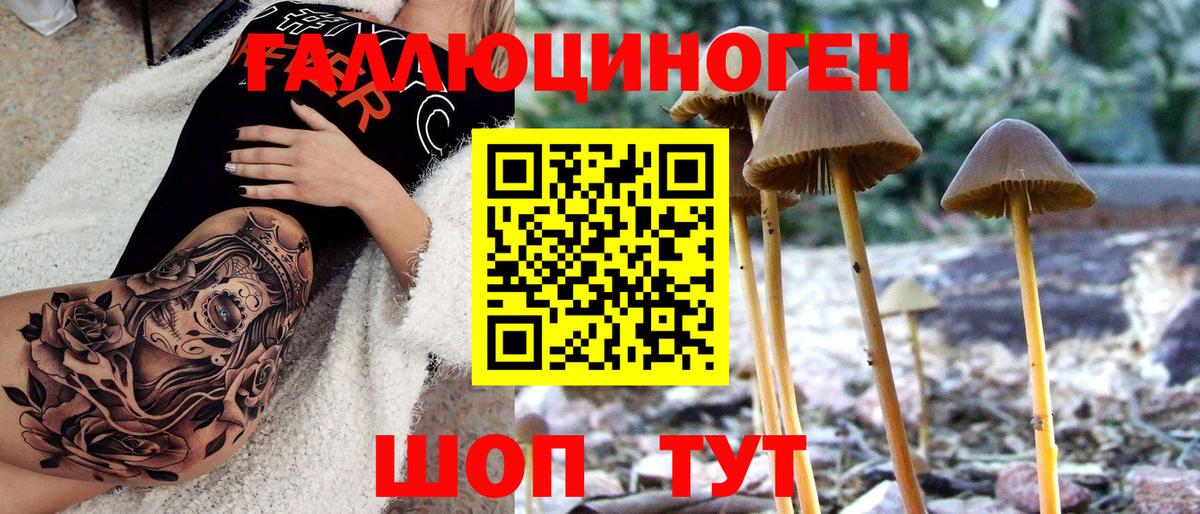 Галлюциногенные грибы мицелий Дубна